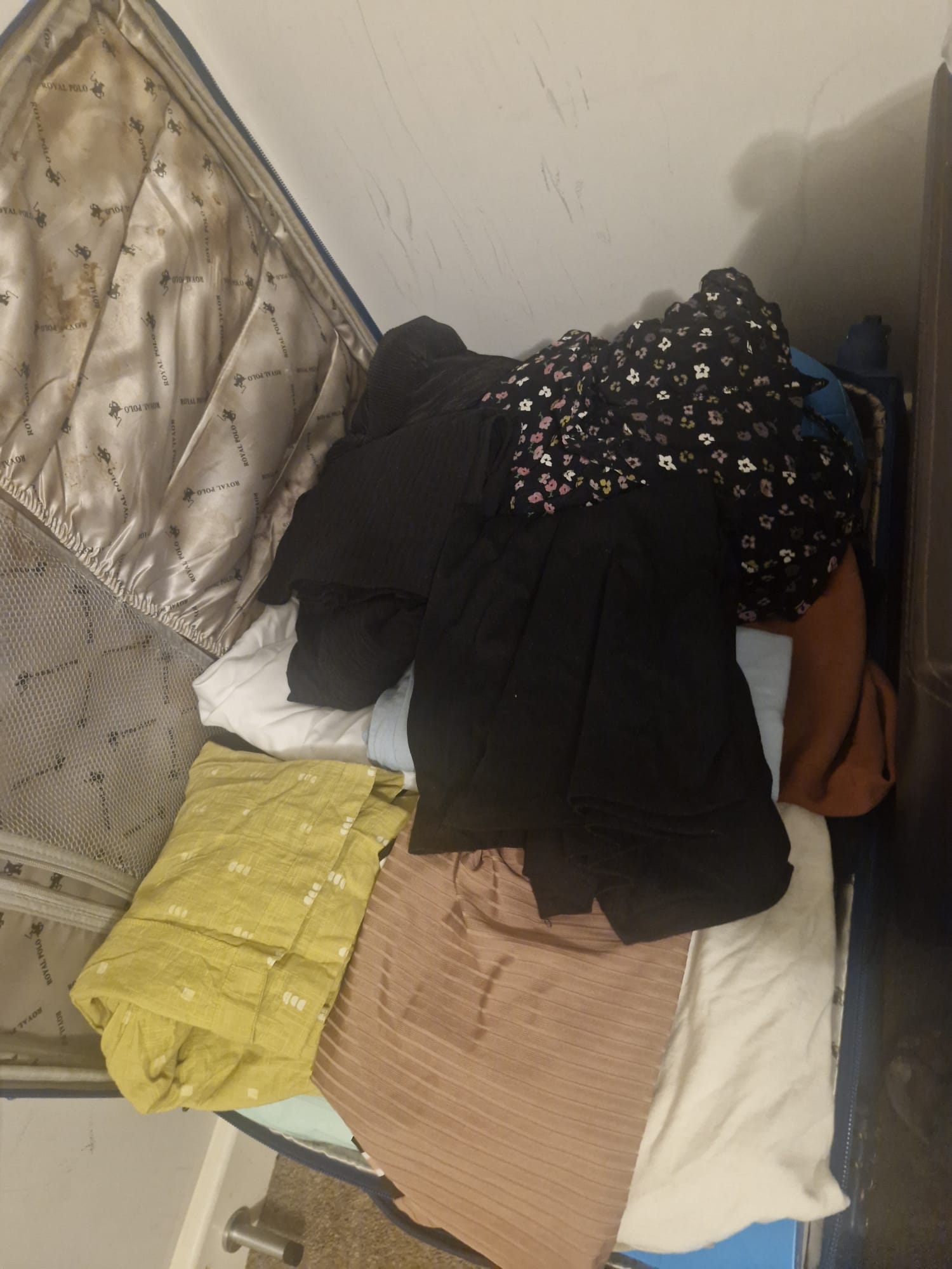Donation from Lysel
